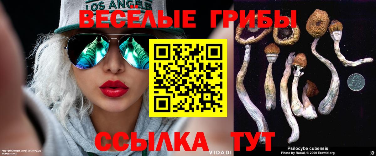 Псилоцибиновые грибы ЛСД Ярославль